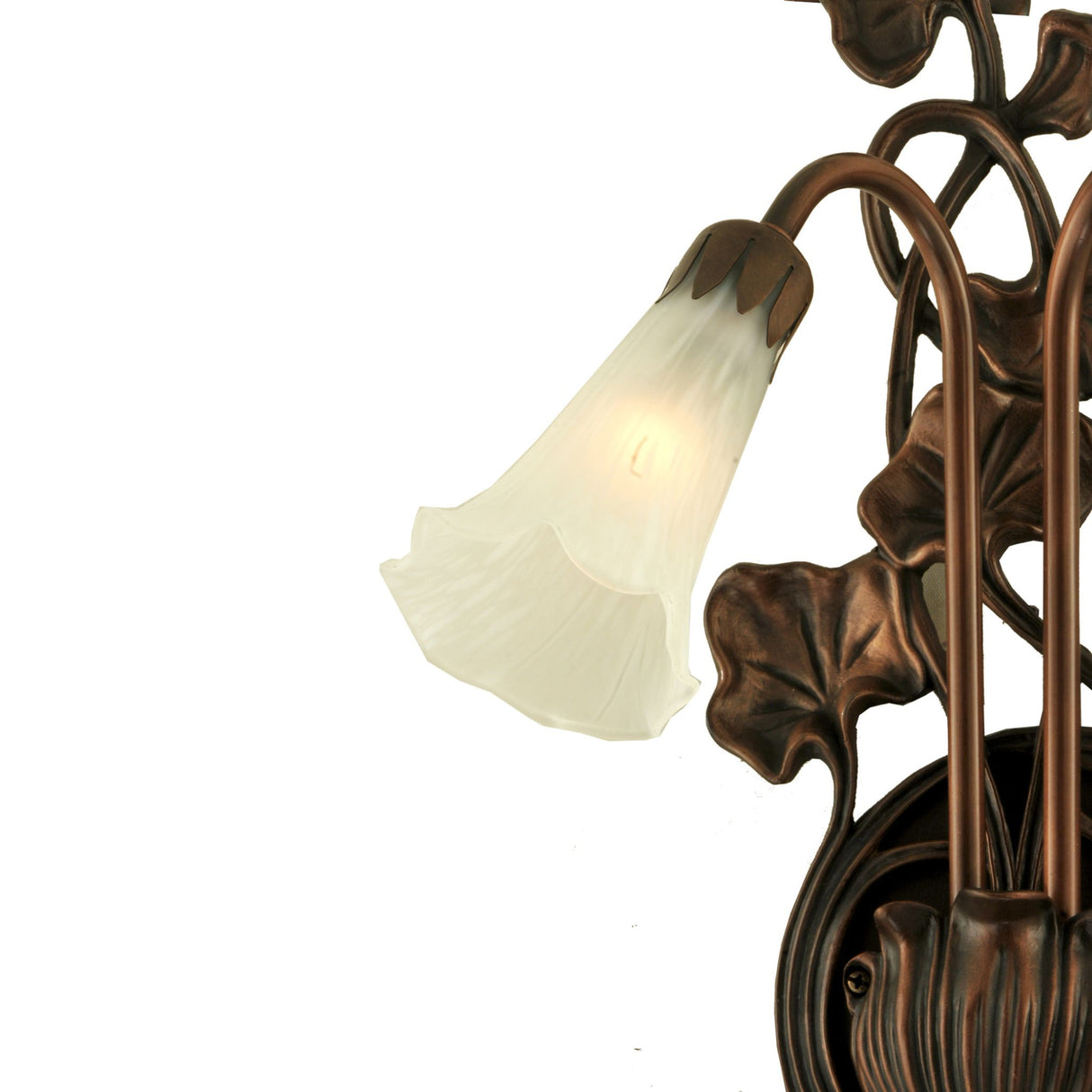 Close-up of white pond lily glass shade on wall sconce.