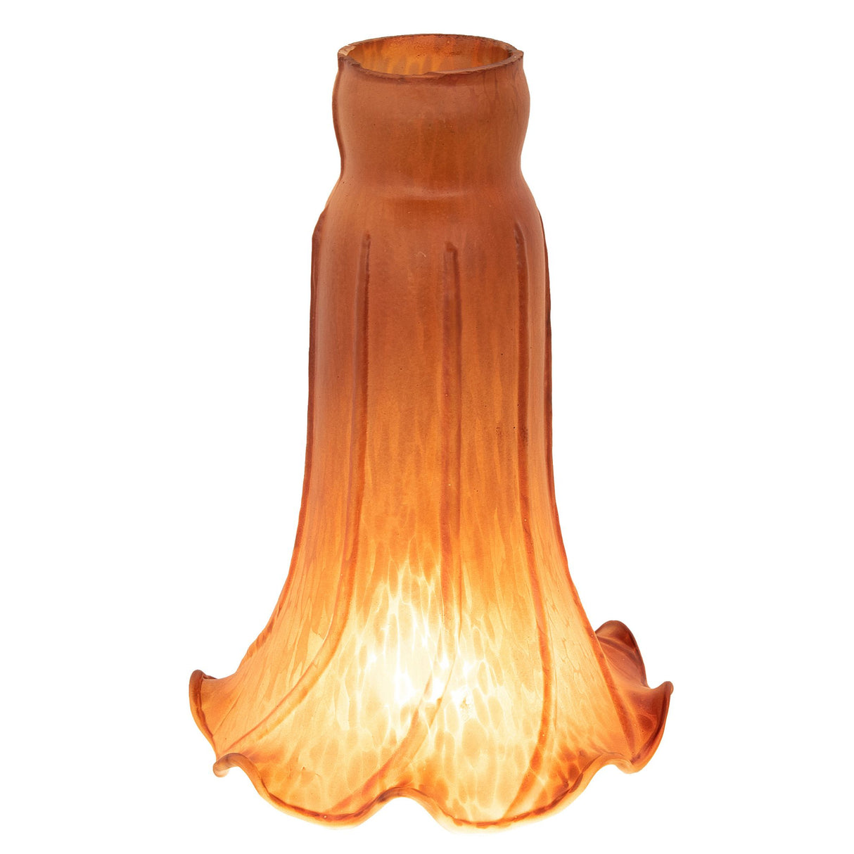 Side lit view of amber pond lily shade showing flowing shape.