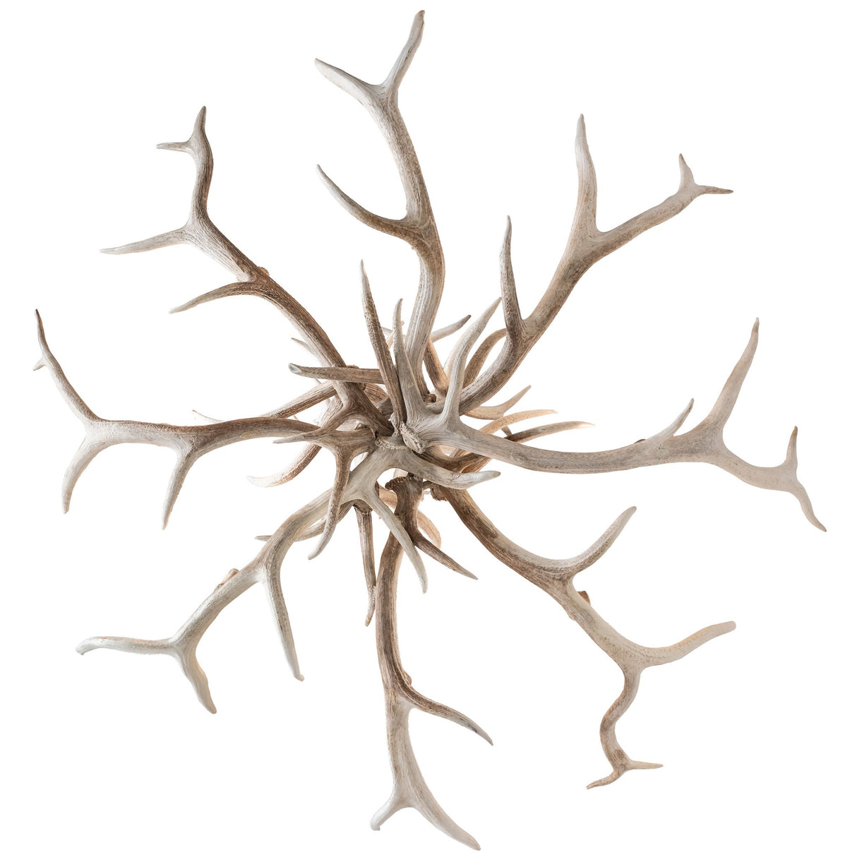 Bottom view of Elk antler chandelier showcasing branch structure and shape.