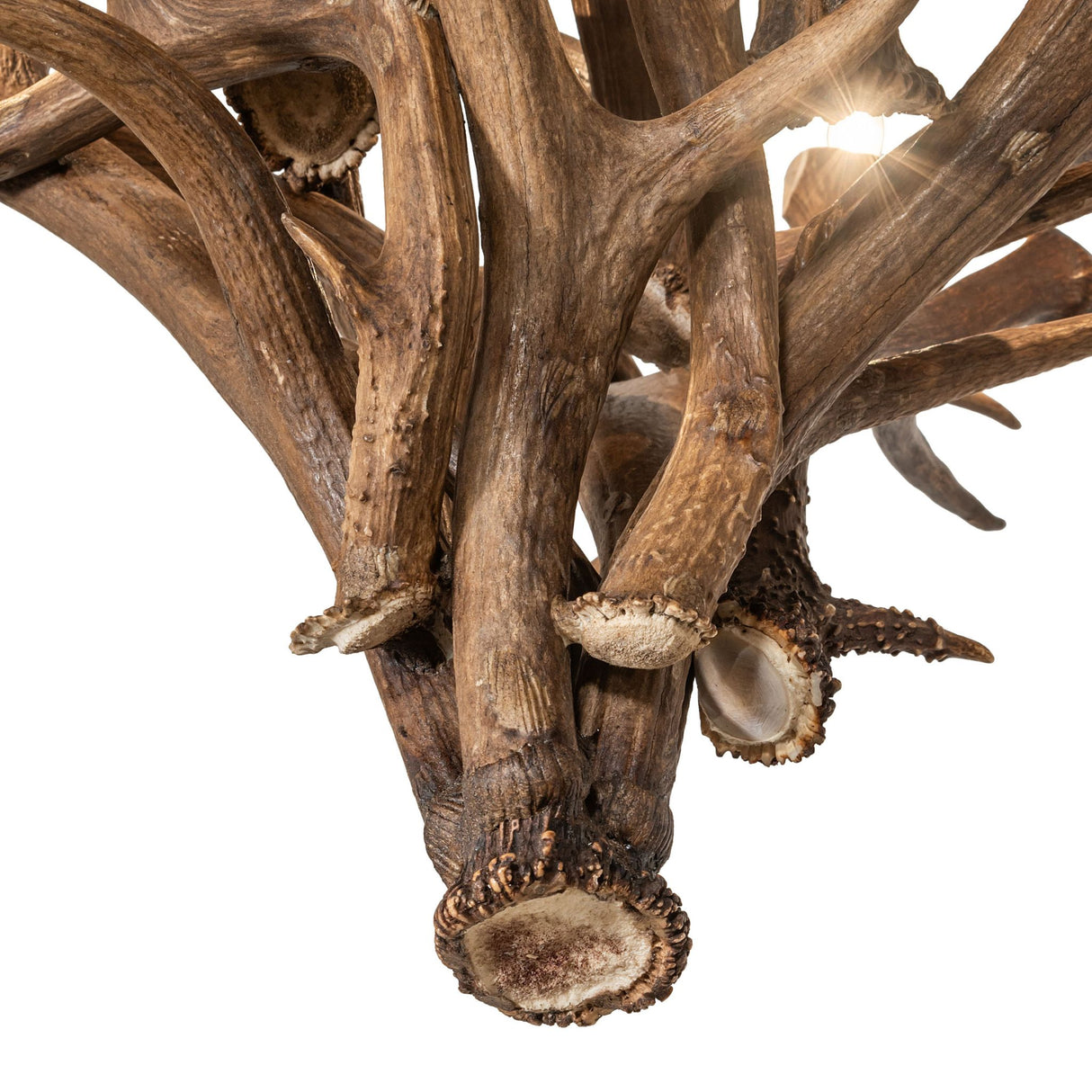 Close-up of natural elk and mule deer antlers showing rich texture and handcrafted detail.