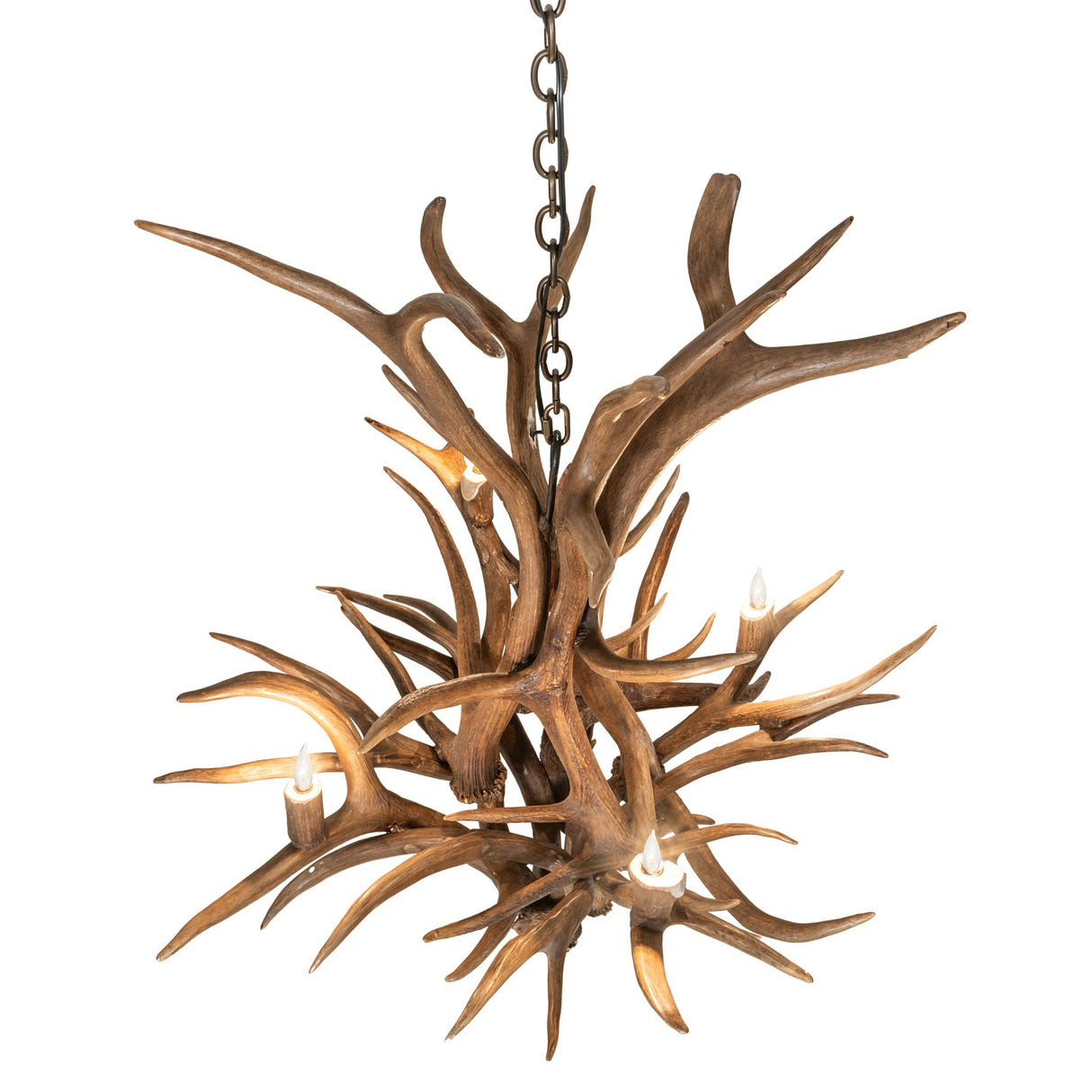 Top angle view showing layered antlers and branching structure from above.