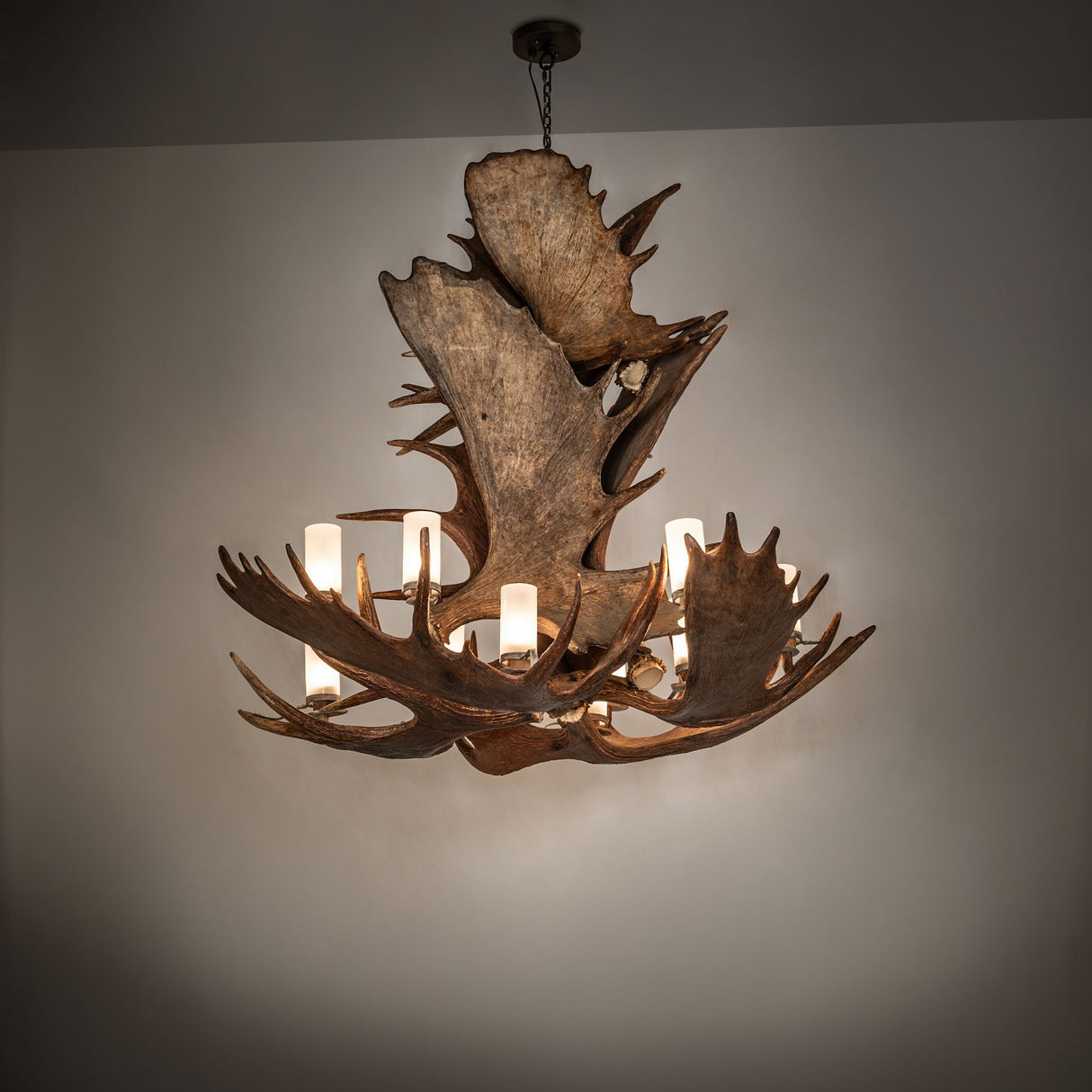 Antlers moose chandelier in ambient room lighting showing rustic texture and layered antler form.