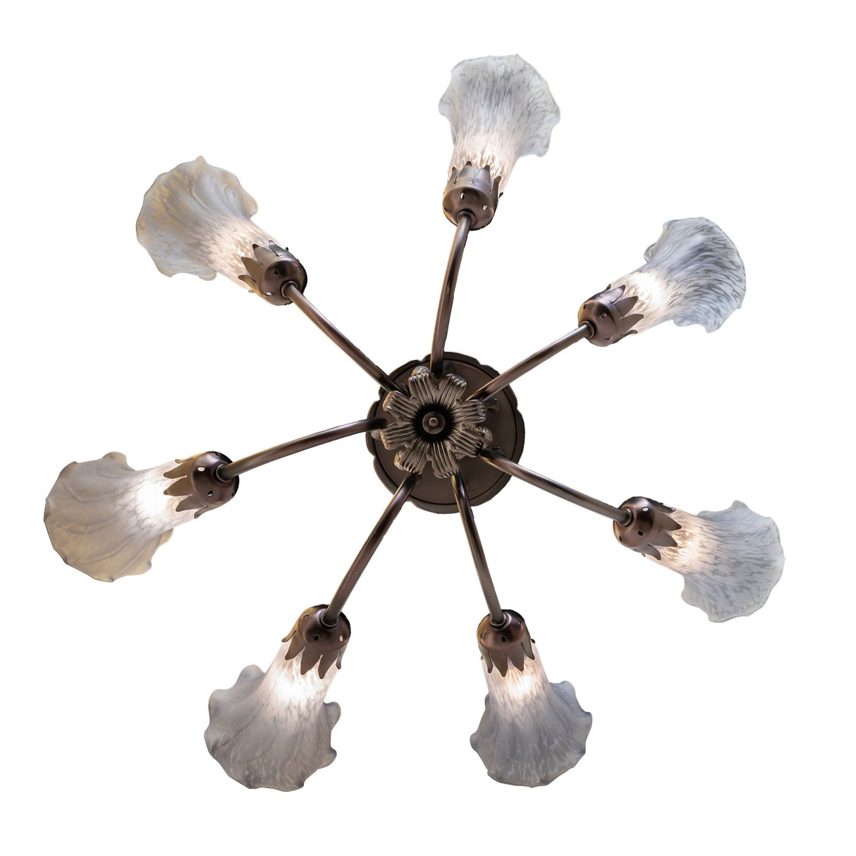 Overhead design view of the gray Tiffany pond lily chandelier.