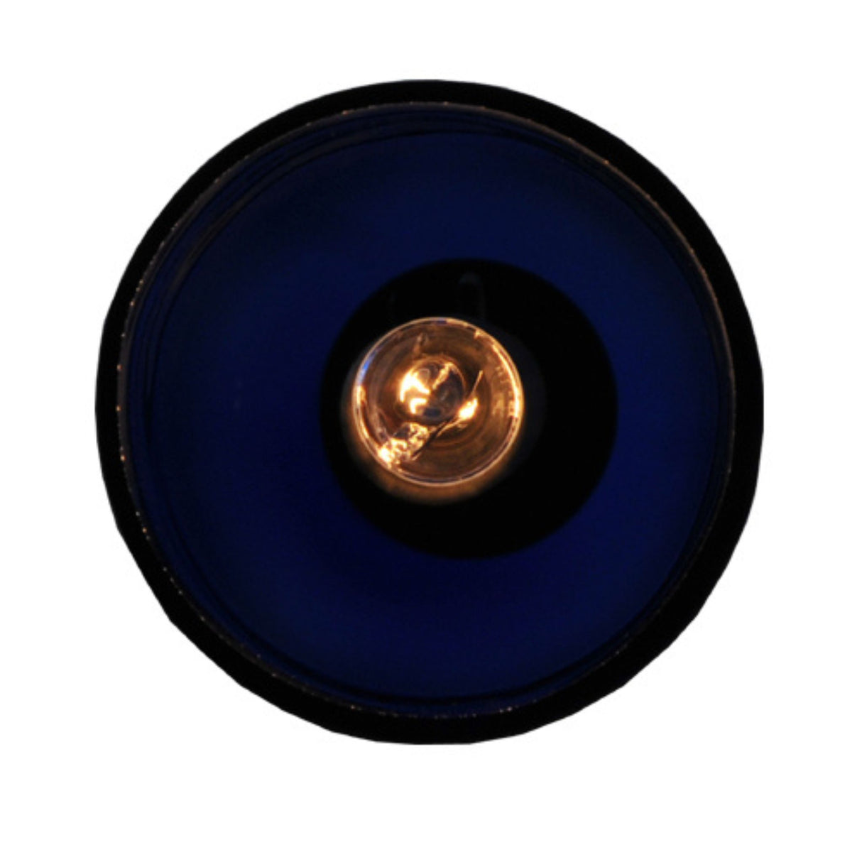 Illuminated bulb inside wine bottle pendant.