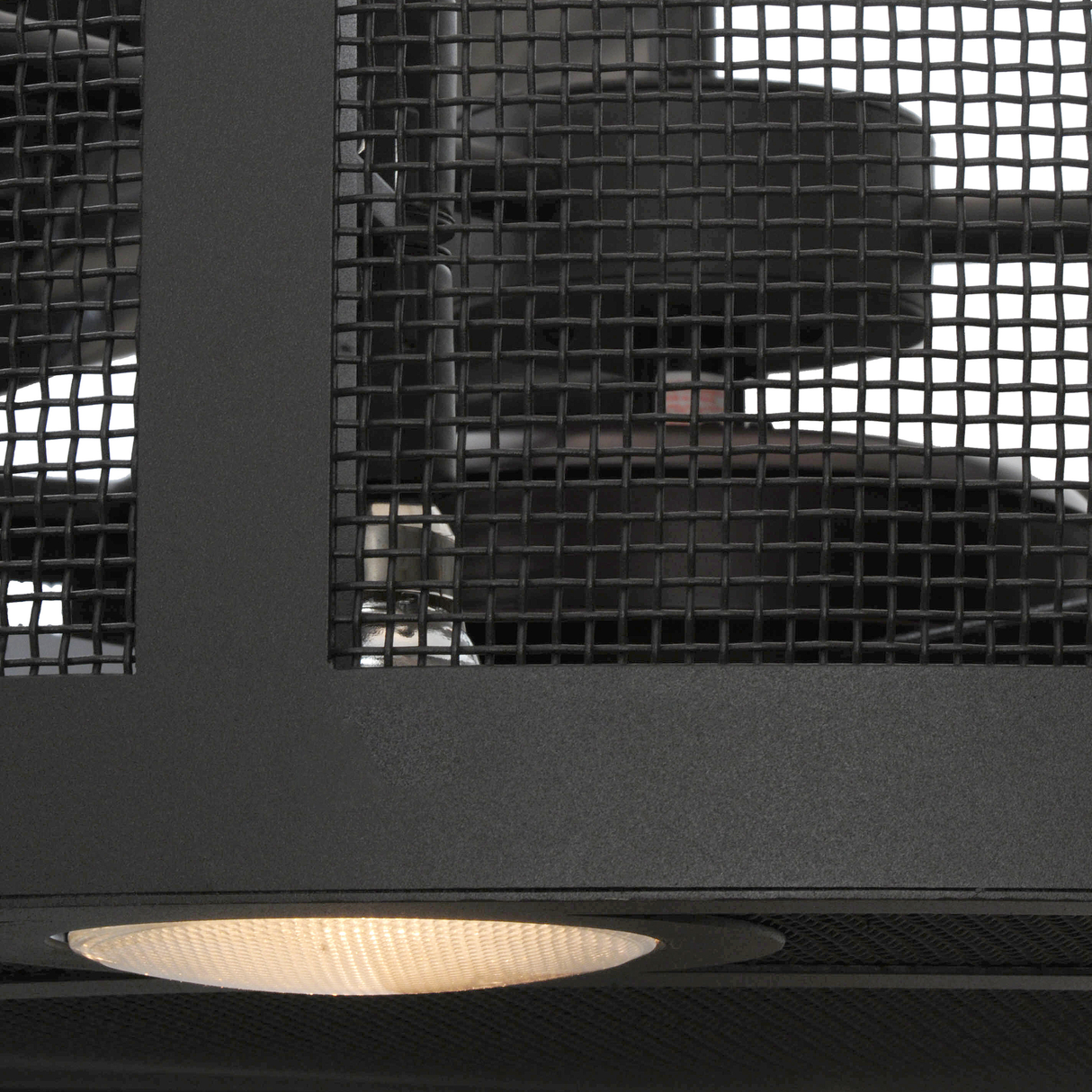 Close-up view of Paloma Golpe Chandel-Air mesh design with light reflection.