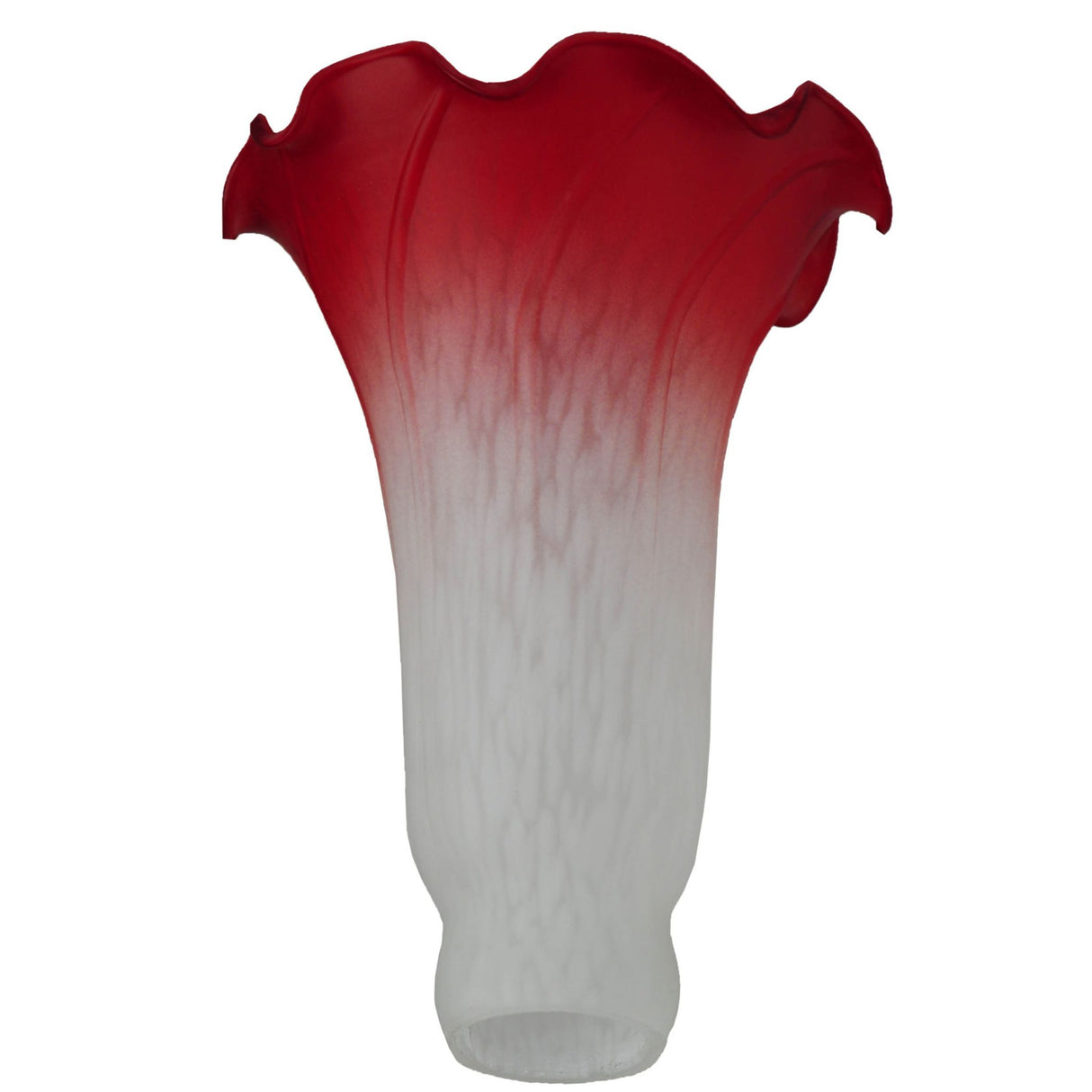 Bottom angle view of pink and white pond lily shade.