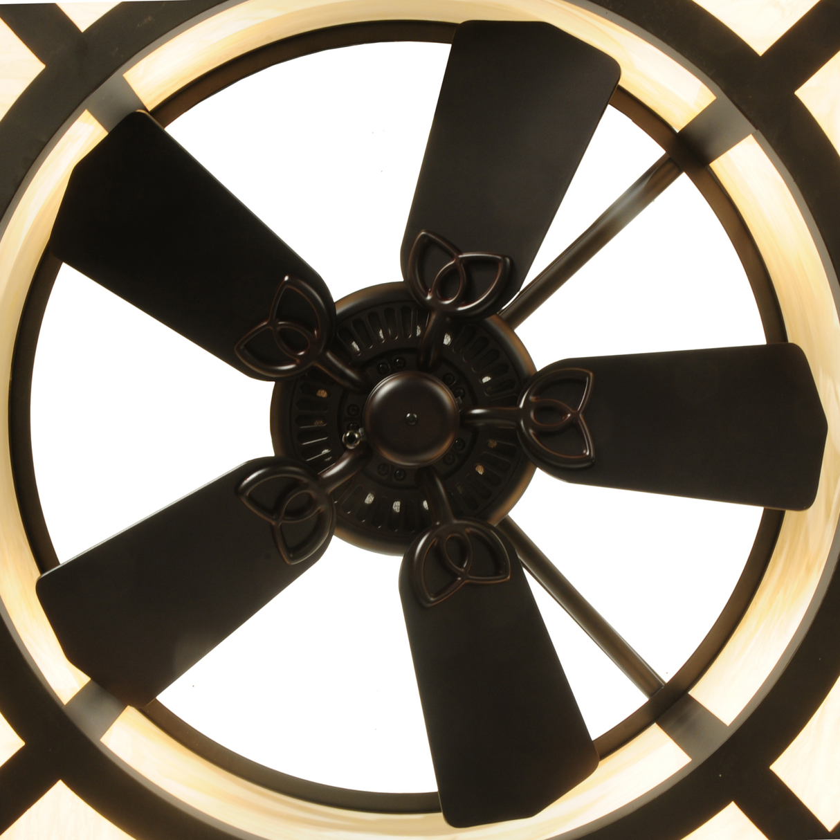 Overhead view showing internal fan and bulb configuration of Sargent Chandel-Air.