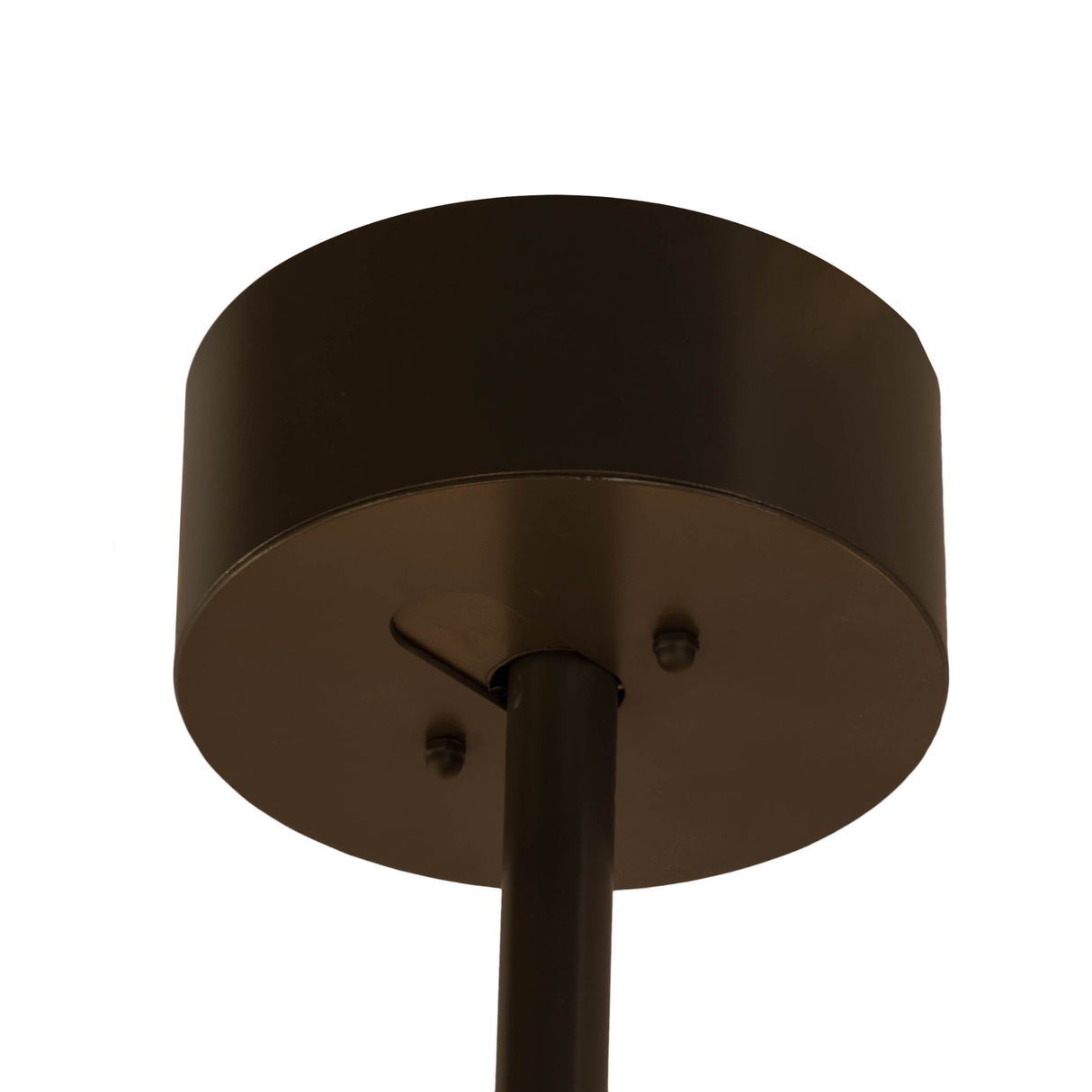 Canopy closeup showing smooth bronze mount and stem connection.