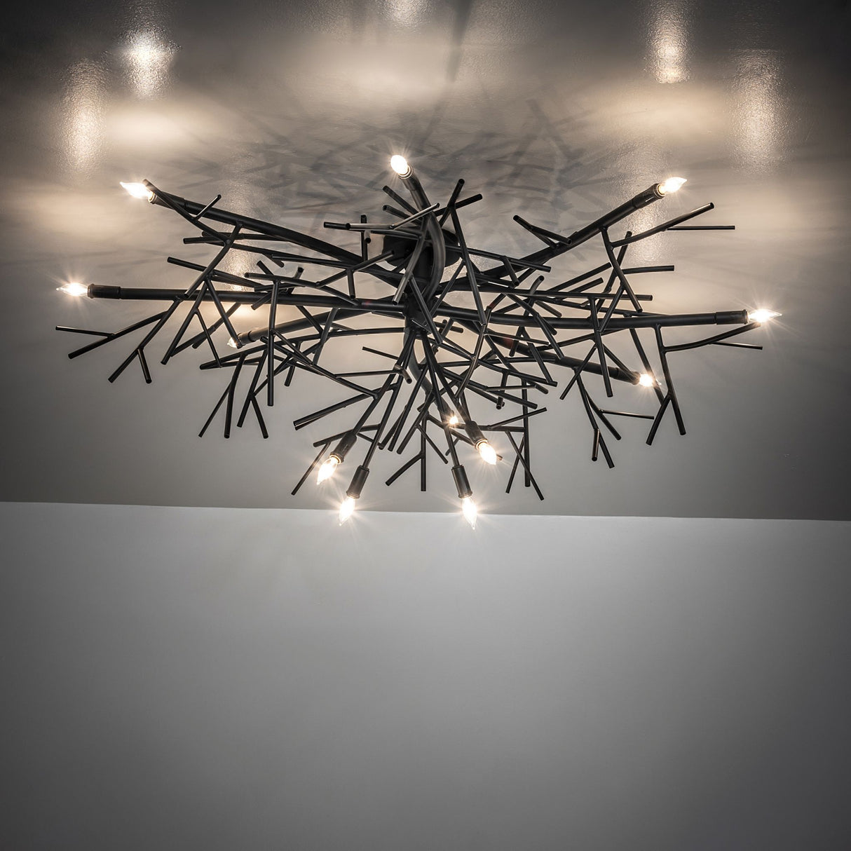 Thicket branch-inspired chandelier on ceiling, casting ambient light with sculptural metal branches.