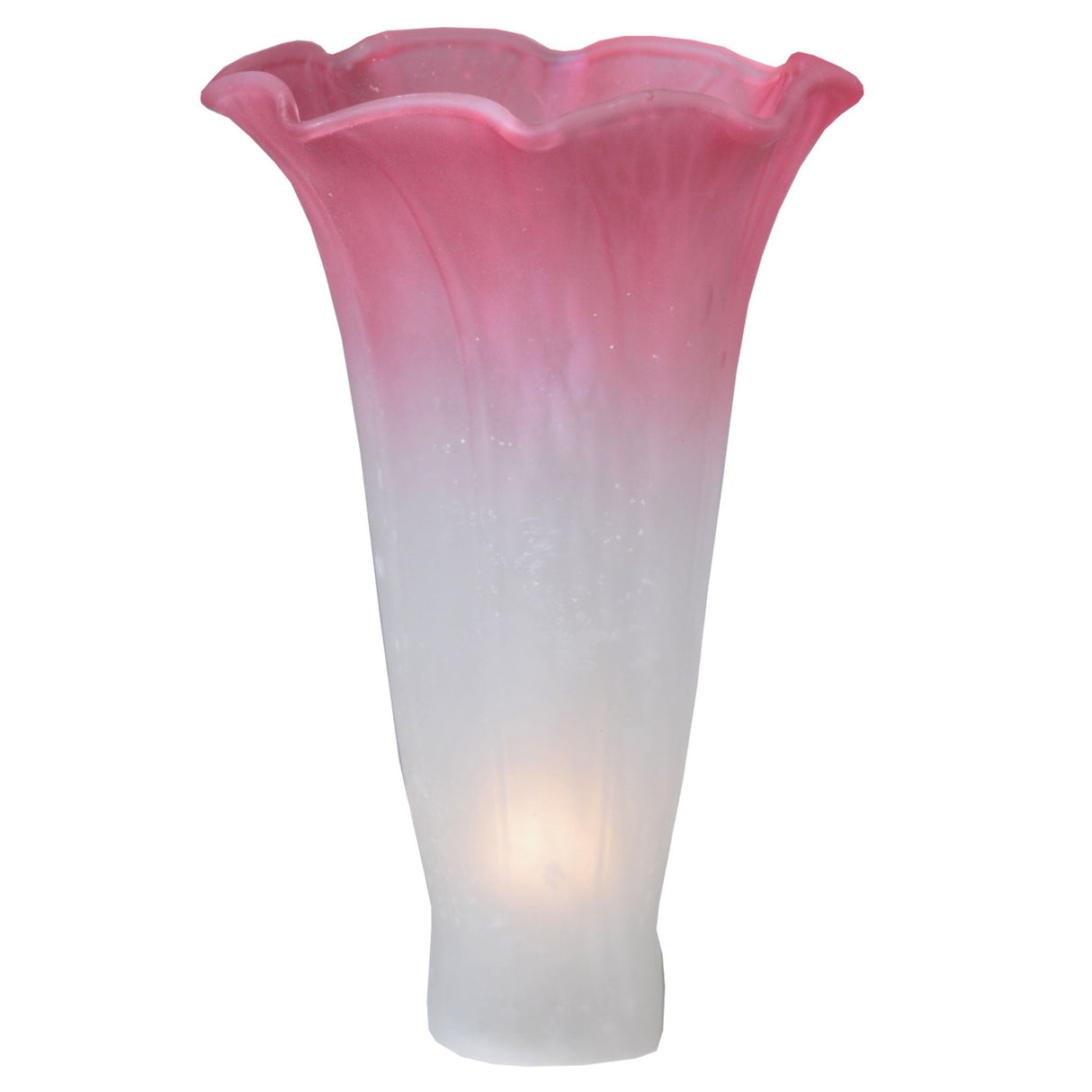 Front view of white and pink pond lily shade.