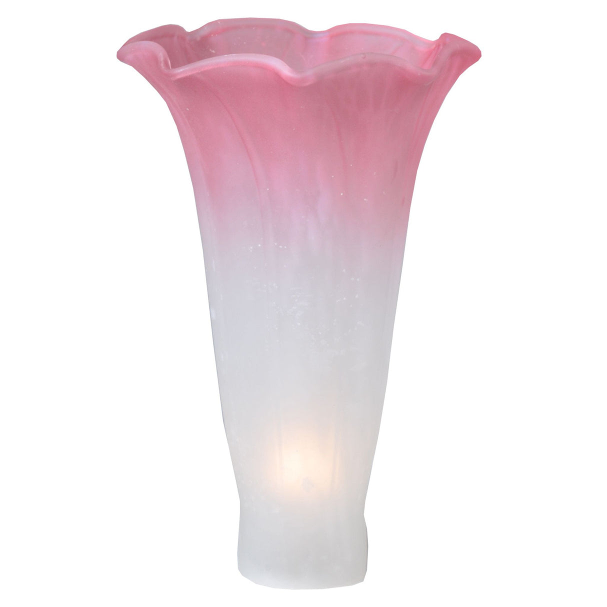 Illuminated plum pink and white art glass lily shade.