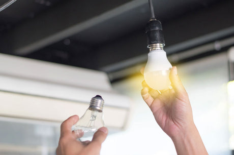 Best Energy-Efficient Lighting Options for Your Home