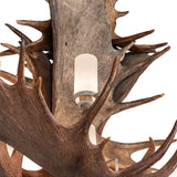 Alternate angled view of layered antlers with overlapping textures and staggered glass cylinder.