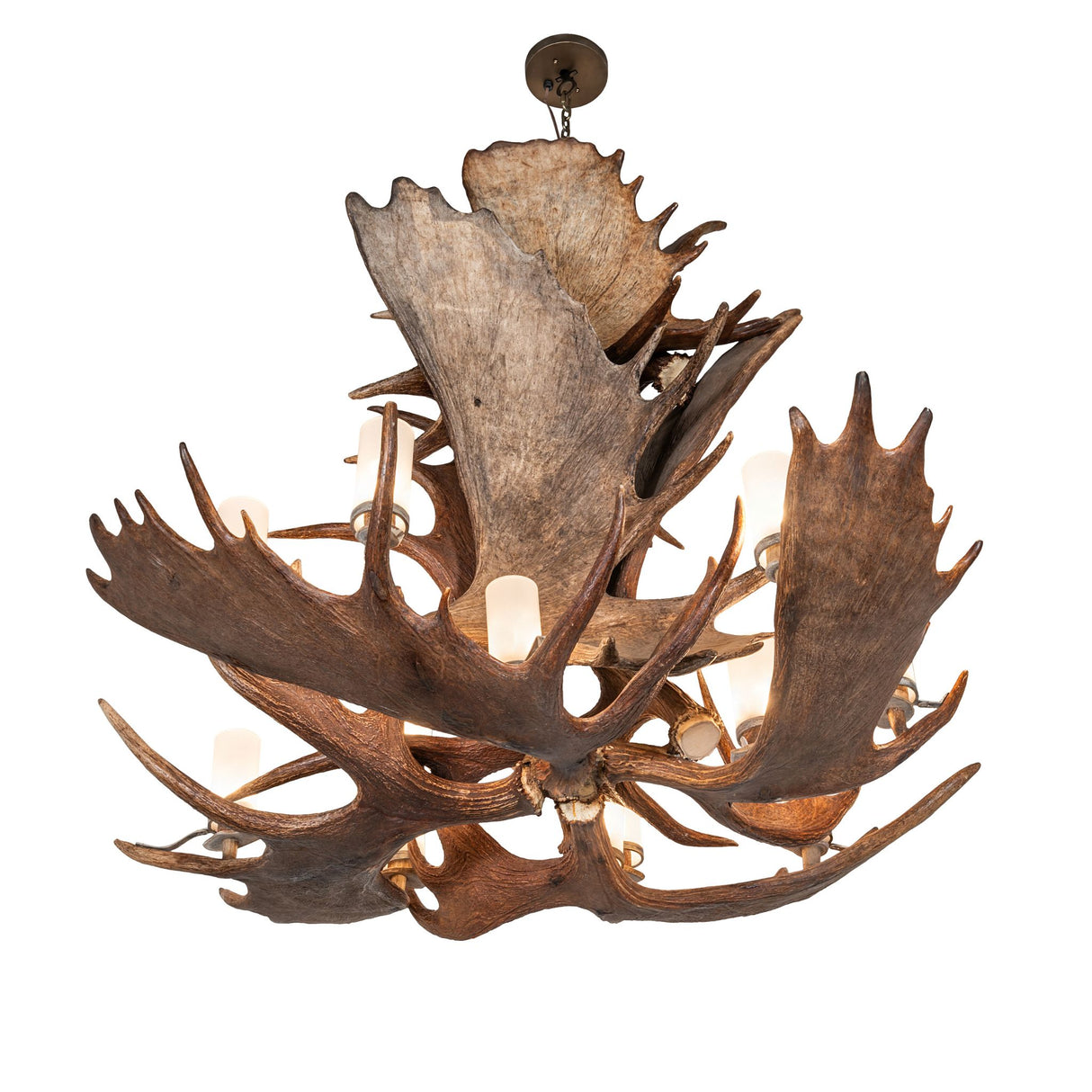 Bottom angle view emphasizing the radial antler spread and underside glass positioning.