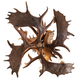 Direct bottom view showing symmetrical antler layout and evenly spaced frosted glass cylinders.
