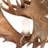 Close-up detail of antler texture with frosted seeded glass cylinder and antique brass mount.