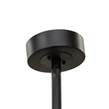 Ceiling canopy closeup showing dark metal finish and mount.