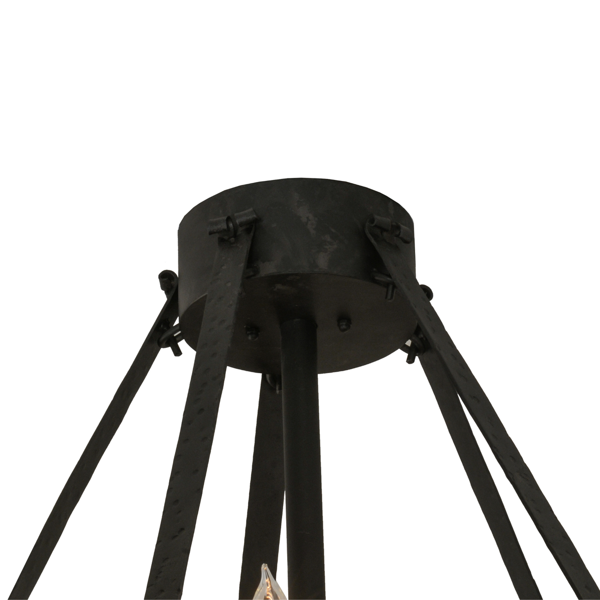 Closeup showing ceiling canopy and support rods in black finish.