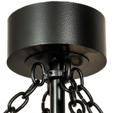 Close-up of canopy and chain assembly in matte black finish.