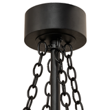 Close-up of canopy and hanging chains in matching black satin finish.