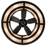 Bottom lit view revealing fan symmetry and radiant mica circle.