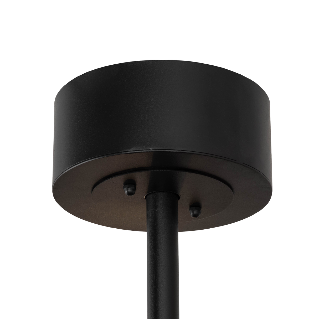 Ceiling canopy detail in textured black finish.