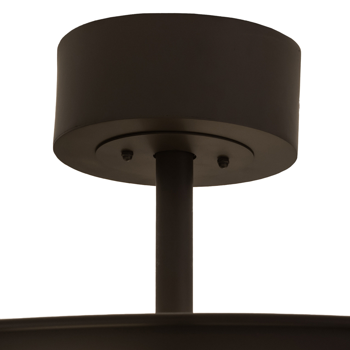 Canopy close-up showing mounting rod and clean bronze finish.