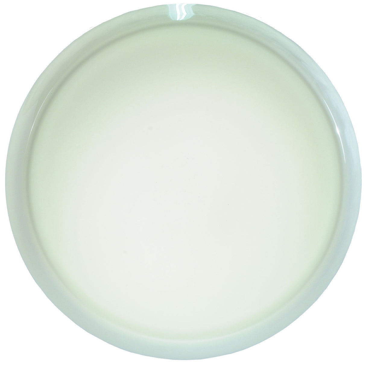 Close-up of the pendant’s glass shade.