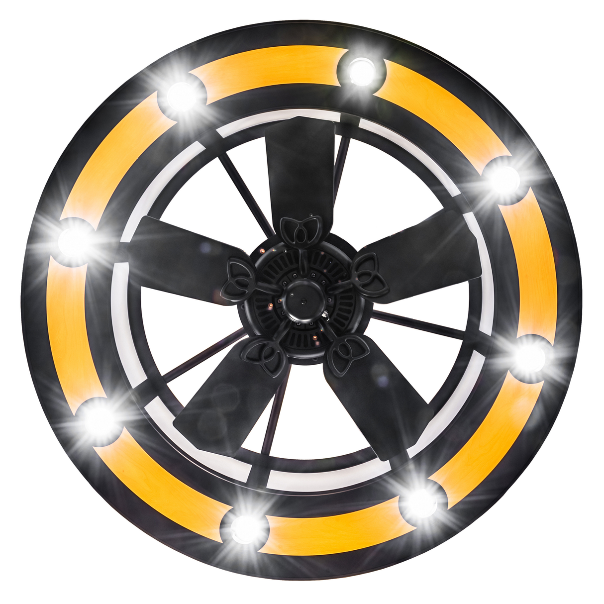 Bottom view with circular maplewood ring and illuminated LED spots.