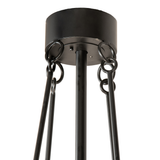 Close-up of ceiling canopy and suspension rods in black finish.