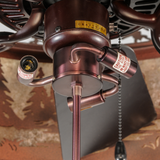 Closeup of fan motor assembly with chain pull and socket detail.