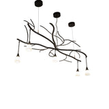 Lit view chandelier with five glass shades and black satin wrought iron branch frame.